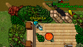 Chizpita on screen