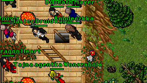 Anioleczkka on screen