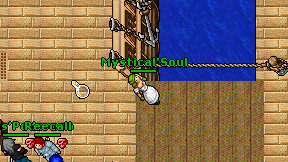 Mystical'Soul on screen