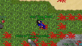 Sol The Wolf on screen