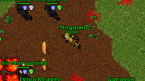 Megown on screen
