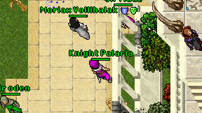 Knight Palaria on screen