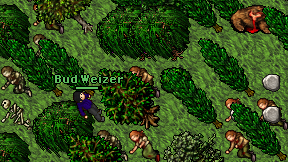 Bud Weizer on screen