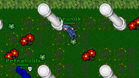 Trunok on screen