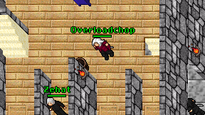 Overloadchop on screen