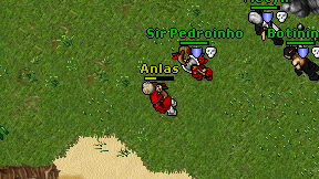Anlas on screen