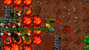 Siilas on screen