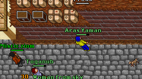 Aras Yaman on screen