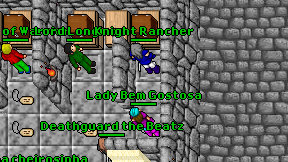 Knight Rancher on screen