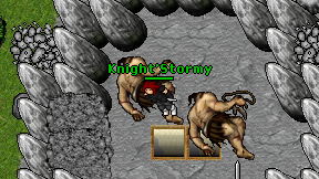 Knight'Stormy on screen