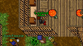 Loghod on screen
