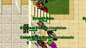 Druid Misia on screen