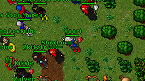 Xaari on screen