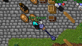Elir Asoul on screen