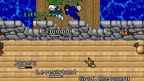 Echingon on screen