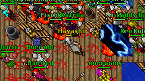 Hayashir on screen