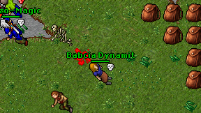 Babcia Dynamit on screen