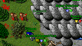 Danntii on screen