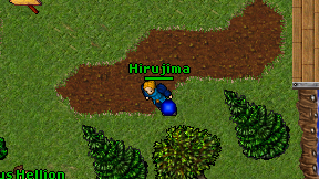 Hirujima on screen
