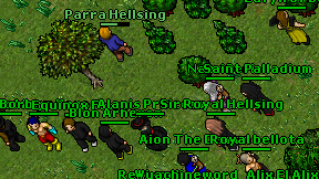 Naer Ceri on screen