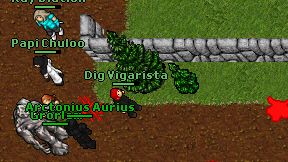 Dig Vigarista on screen