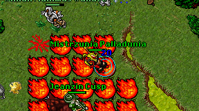 Mistrzunia Palladunia on screen