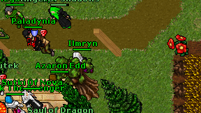 Ilmryn on screen