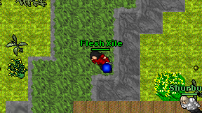 Flesh Xile on screen