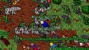 Wlodi-knight on screen