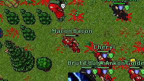 Macon Bacon on screen