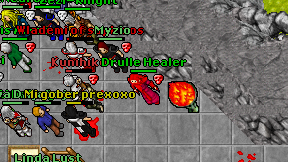 Drulle Healer on screen