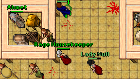 Rage Housekeeper on screen
