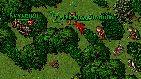 Feiticeira Minduim on screen