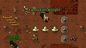 Evolution Knight on screen