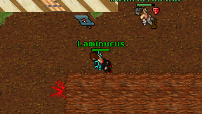 Laminucus on screen