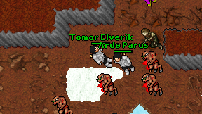 Tomor Elverik on screen