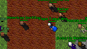 Topo Tama'dre on screen