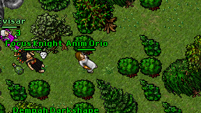 Anim Orio on screen