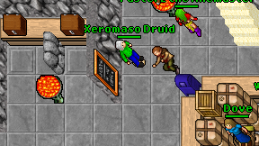 Xeromaso Druid on screen