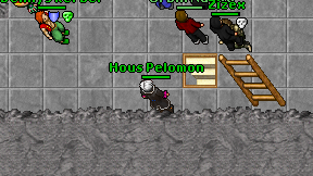 Hous Pelomon on screen
