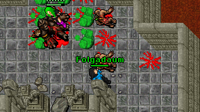 Folgadaum on screen