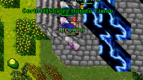 Brownli on screen