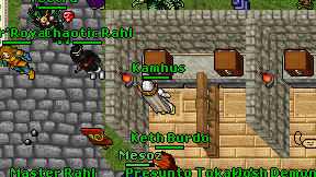 Kamhus on screen