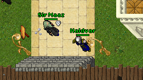 Haldvar on screen