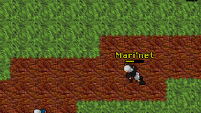 Mari'net on screen