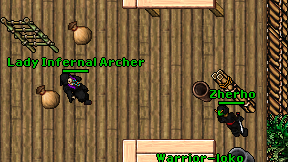Lady Infernal Archer on screen