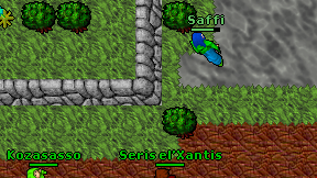Saffi on screen