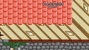 Ice Druidd on screen