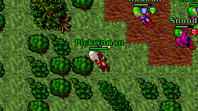 Pickwoman on screen