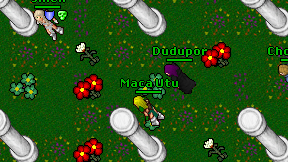 Maca Utu on screen